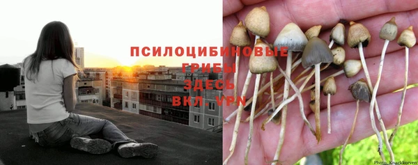 первитин Алексеевка