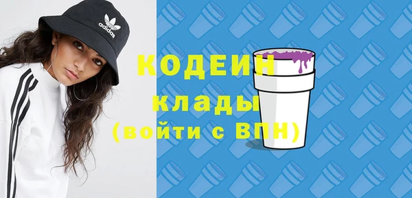 индика Абаза