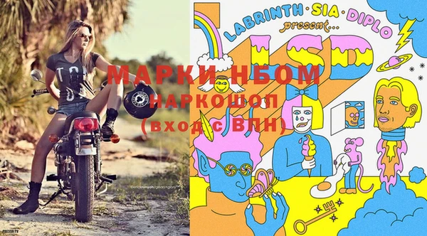 прущие крисы Алзамай
