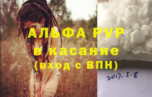 индика Абаза