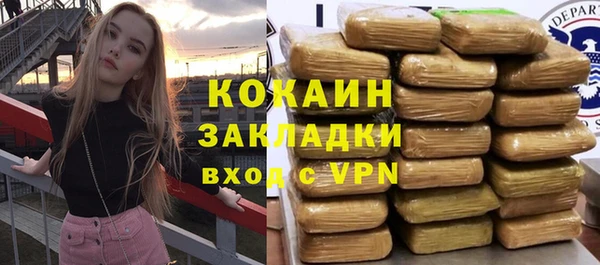 дживик Алексин