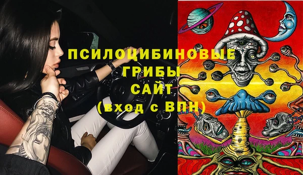дживик Алексин
