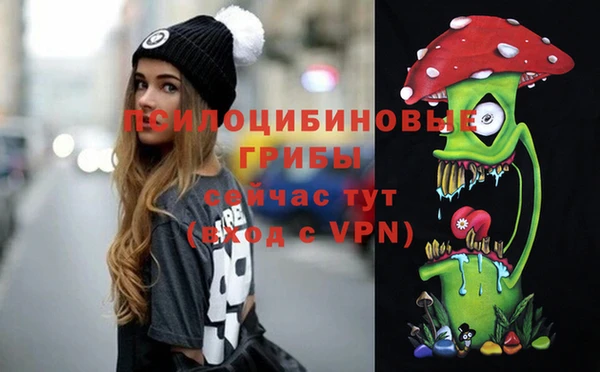 дживик Алексин