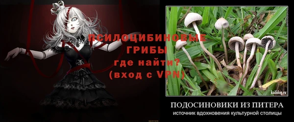 прущие крисы Абдулино