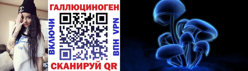 хочу наркоту  Черепаново  kraken tor  Галлюциногенные грибы Psilocybine cubensis 